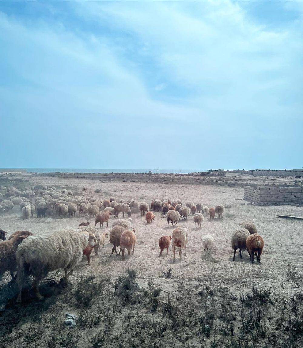 Potret Taman Nasional Absheron (instagram.com/dariagor.a)