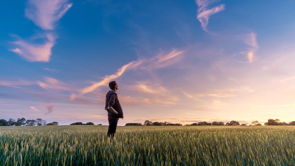 Ilustrasi seorang pria sedang berdiri ditengah ladang rumput (unsplash.com/Benjamin Davies)
