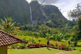 Viral dan Rusak, Rumput Rumah Abah Jajang di Cianjur Segera Hijau Lagi