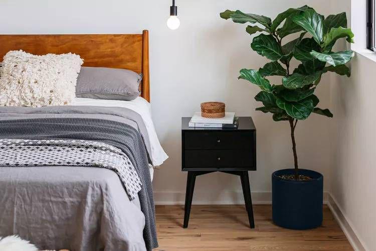 ilustrasi furnitur kamar tidur gaya mid-century modern (dok. The Spruce)