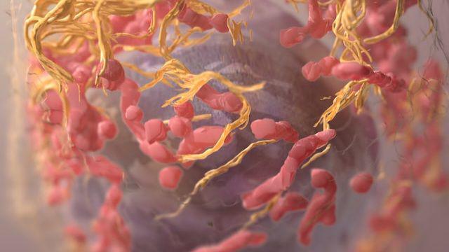 ilustrasi sel kanker (unsplash.com/National Cancer Institute)