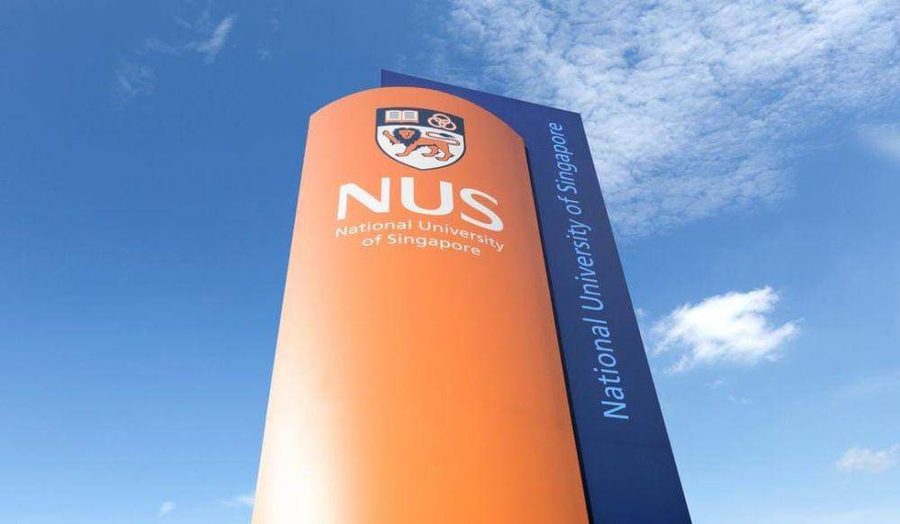 Universitas Nasional Singapura (NUS) (instagram.com/nus_singapore)