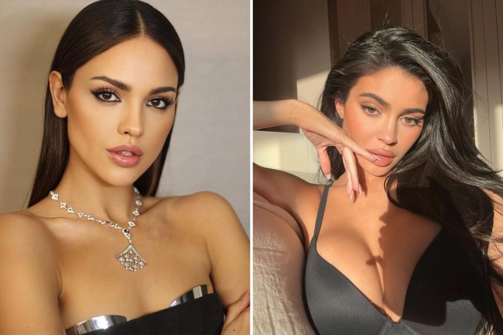 5 Artis yang Pernah Dekat dengan Timothee Chalamet, Ada Kylie Jenner