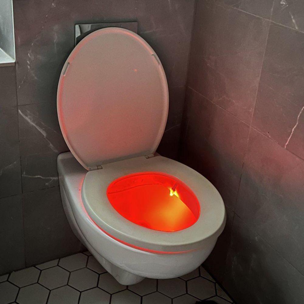 potret momen kocak di toilet (reddit.com/user/panoparker)