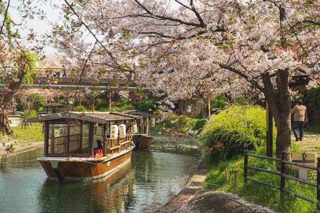 Cara Membuat Visa Waiver Jepang Lengkap dengan Syaratnya