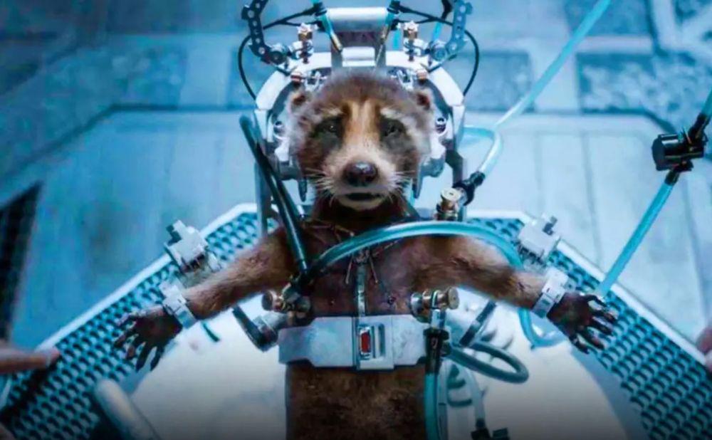 Rocket (dok. Marvel Studios/Guardians of the Galaxy Vol. 3)