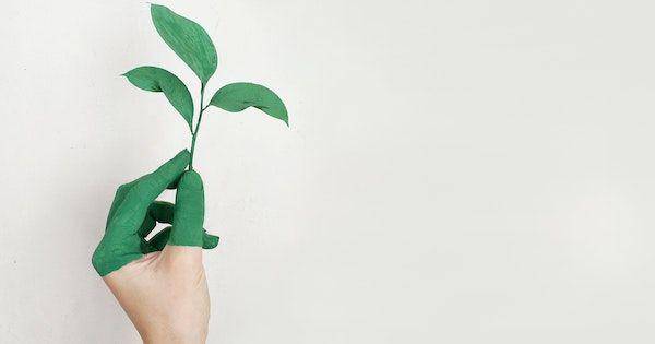 ilustrasi marss green (pexels.com/Alena Koval)