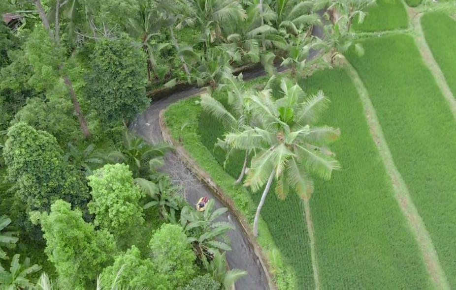 Salah satu tempat wisata di Desa Panji. (Ecovillagepanji.id)