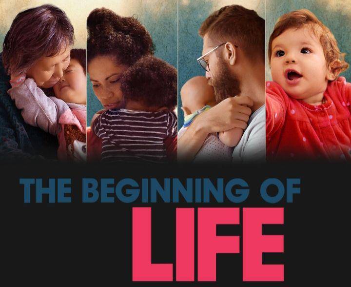 The Beginning of Life (dok. Maria Farinha Filmes/The Beginning of Life)