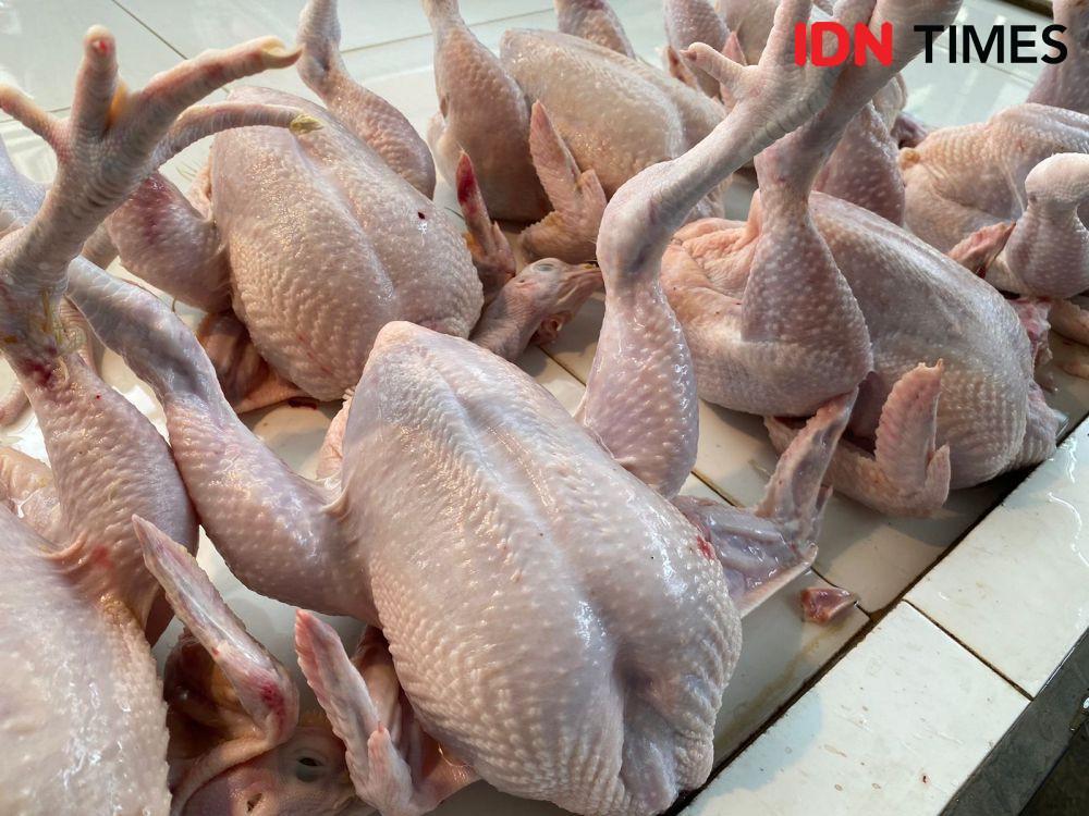 Harga Daging Ayam Naik Biang Kerok Inflasi di Jateng Bulan Juni 2023