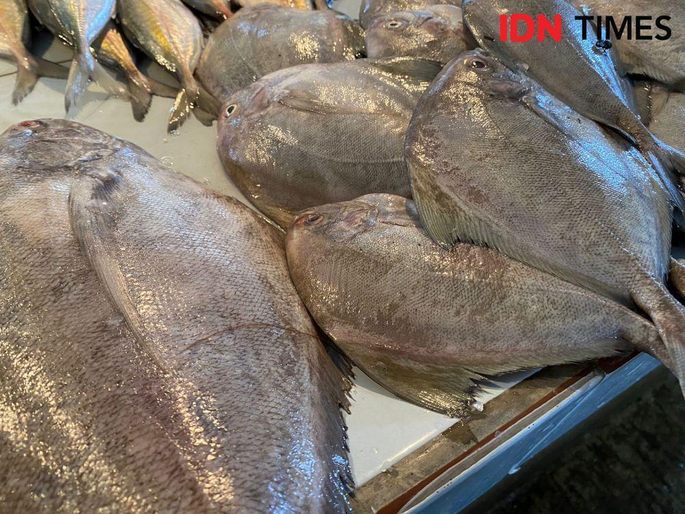 Nutrisi Ikan Ternyata Senjata Ampuh Lawan Stunting