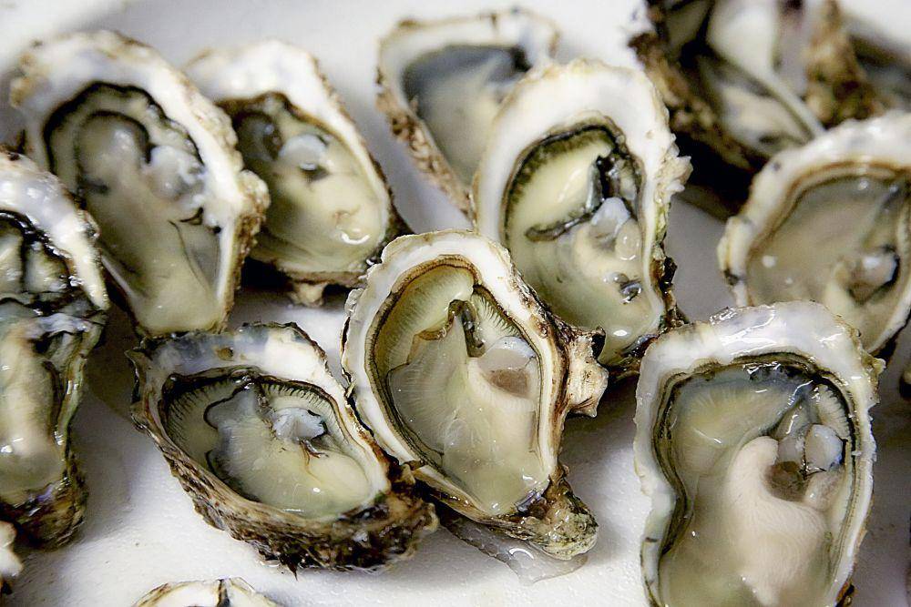 ilustrasi olahan kerang lezat (pixabay.com/photo-graphe)