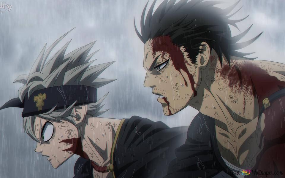 Black Clover (dok. Studio Pierrot/Black Clover)