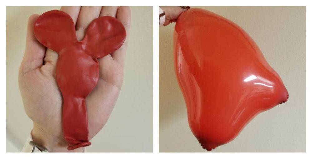 potret kocak balon gak sesuai ekspektasi (reddit.com/user/lauraniebee)