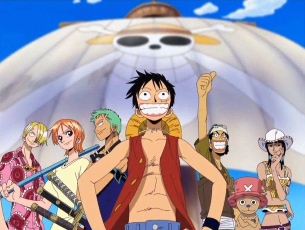 dok. One Piece Wiki