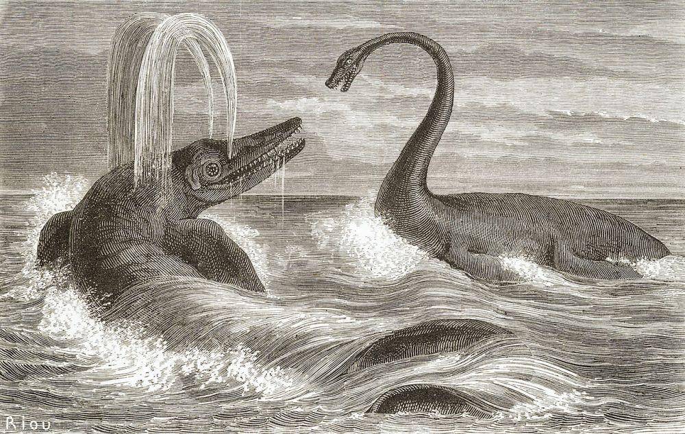 Ichthyosaurus dan Plesiosaurus (en.wikipedia.org)