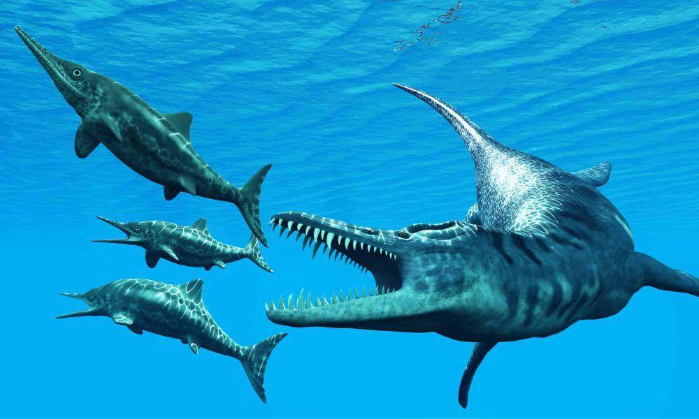 Ichthyosaurus diserang Liopleurodon (a-z-animals.com)