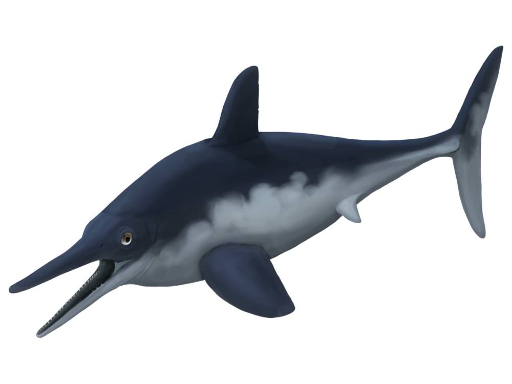 Ichthyosaurus (en.wikipedia.org)