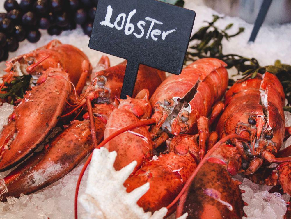 ilustrasi lobster (unsplash.com/@louishansel)