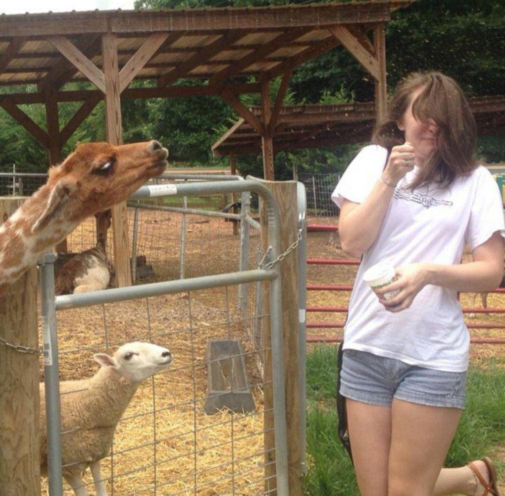 potret momen apes di kebun binatang (reddit.com/user/CorbinMcNett)