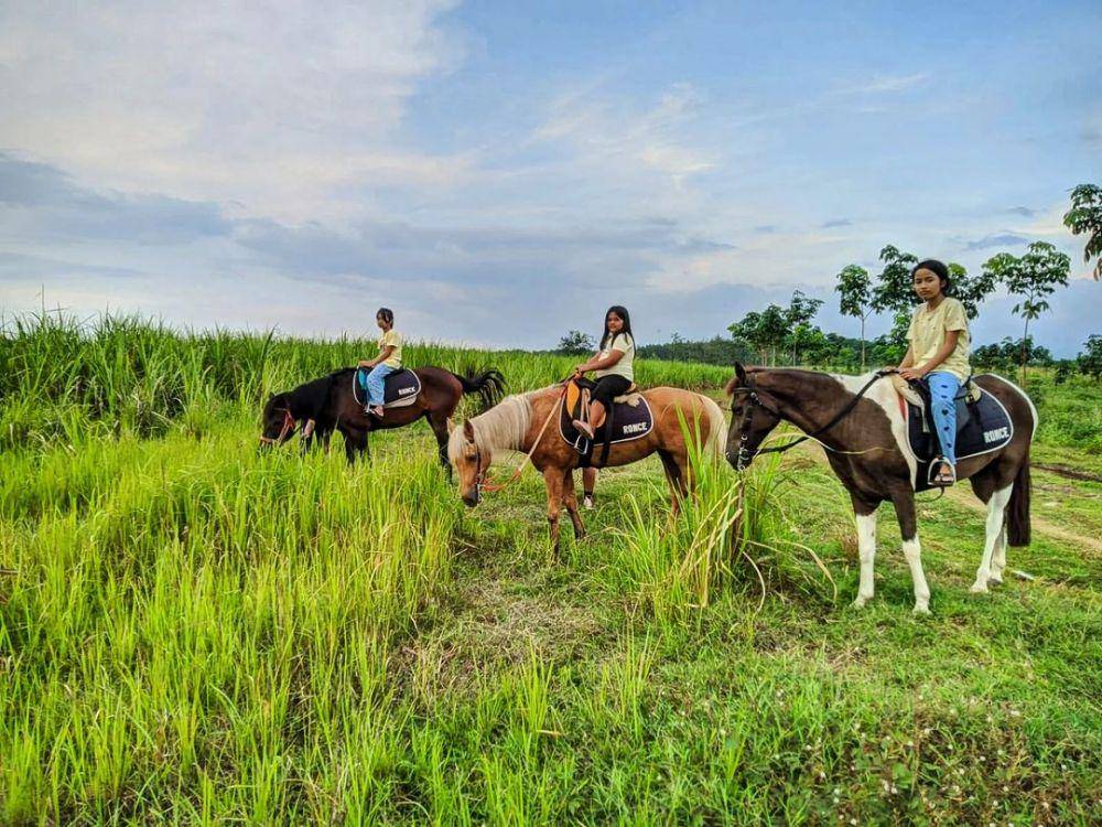 Ronce Stable (instagram.com/roncestable_alaska)