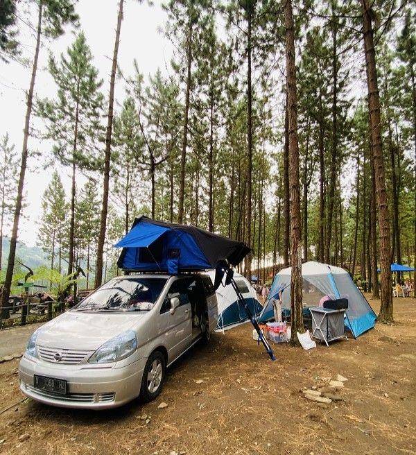 Guci Forest (google.com/maps/Cak Maryono)