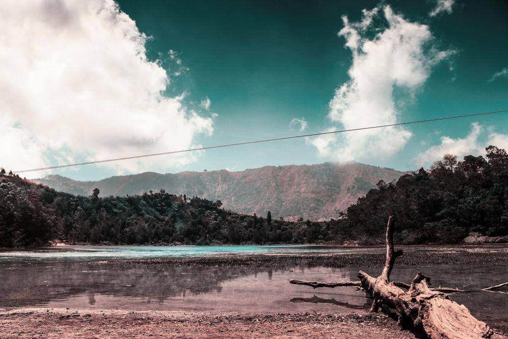 Ilustrasi pemandangan lingkungan alam yang indah (unsplash.com/Muh Yusuf Syahputra)