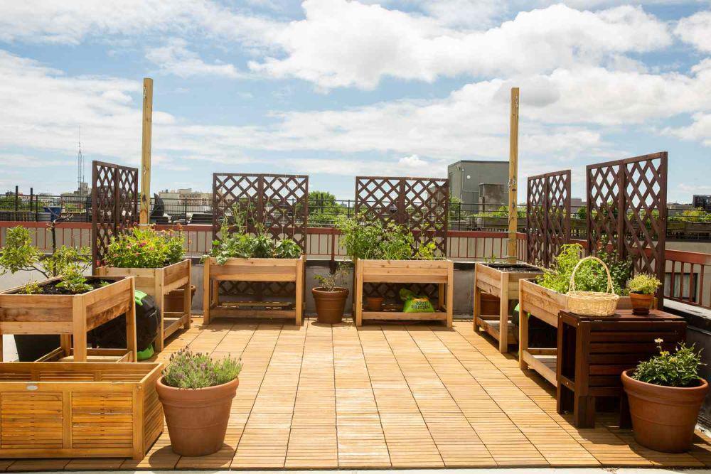ilustrasi rooftop eco-friendly (thespruce.com)