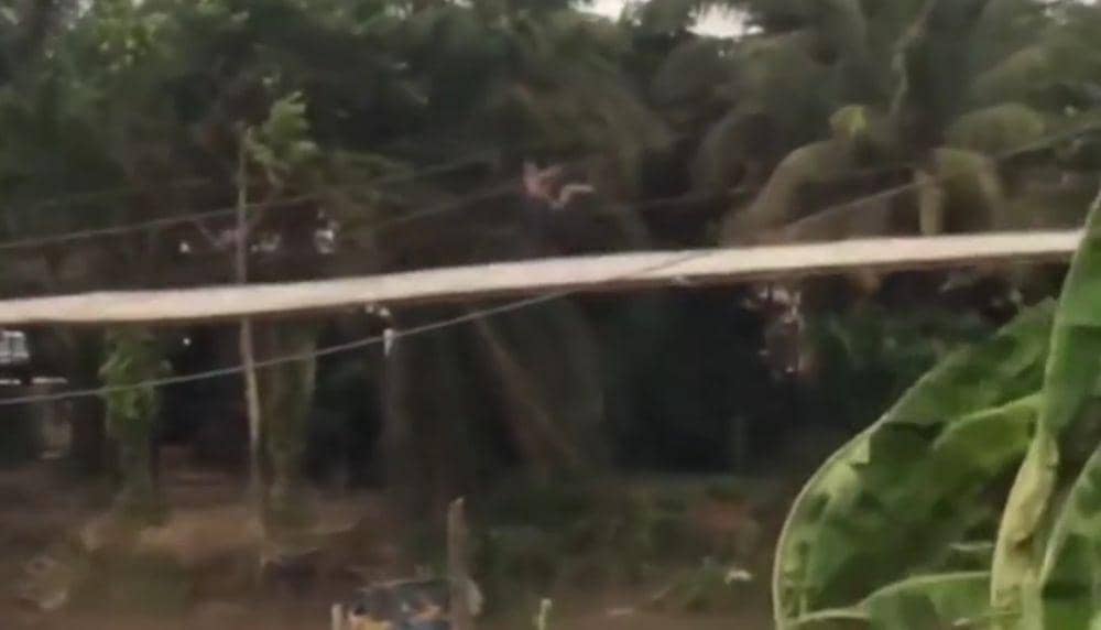 Viral Warga Muara Enim Jatuh dari Jembatan Saat Angin Kencang