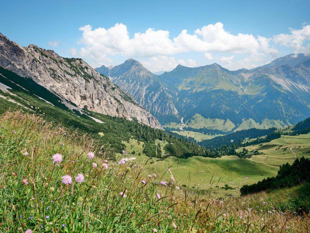 Potret Liechtenstein (unsplash.com/Stephen H)