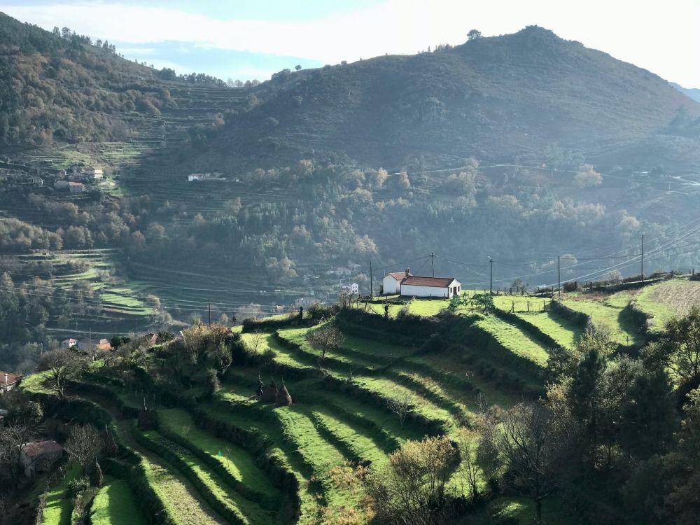 Potret Sistelo di Portugal (unsplash.com/arturazevedo)