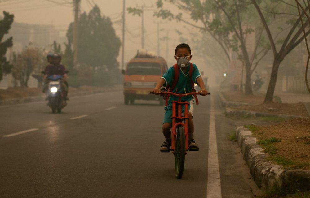 ilustrasi bersepeda sambil menggunakan masker (flickr.com/CIFOR)