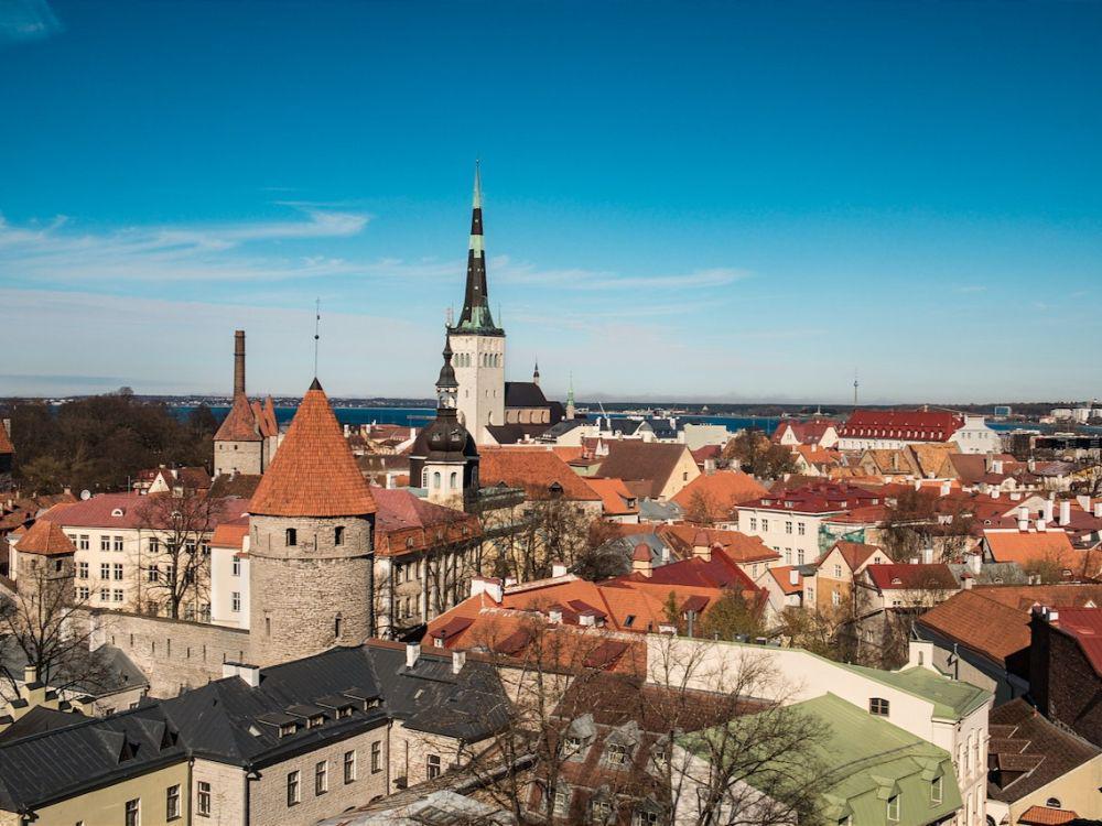 ilustrasi estonia (pexels.com/Jo Kassis)