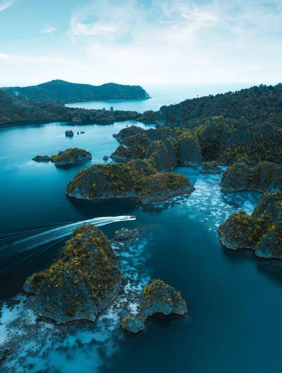 keindahan alam pulau Papua (pexel.com/Stijn Dijkstra/)