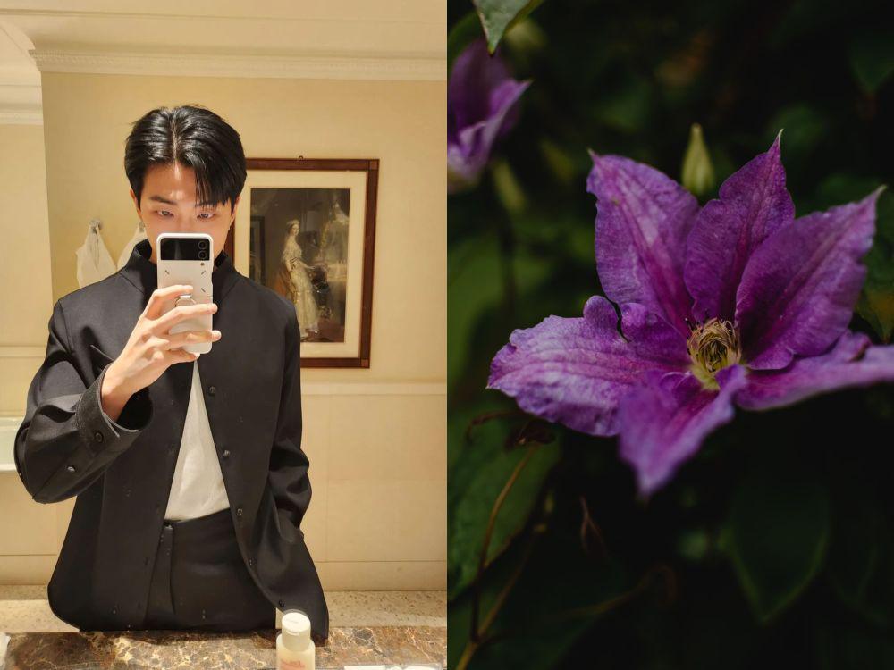 Kim Namjoon dan bunga clematis (instagram.com/rkive | pexels.com/Eva Bronzini)