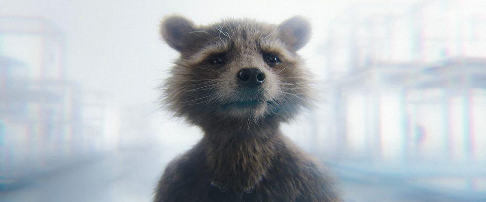 Rocket Raccoon di Guardians of the Galaxy Vol. 3 (dok. Marvel/Guardians of the Galaxy Vol. 3)