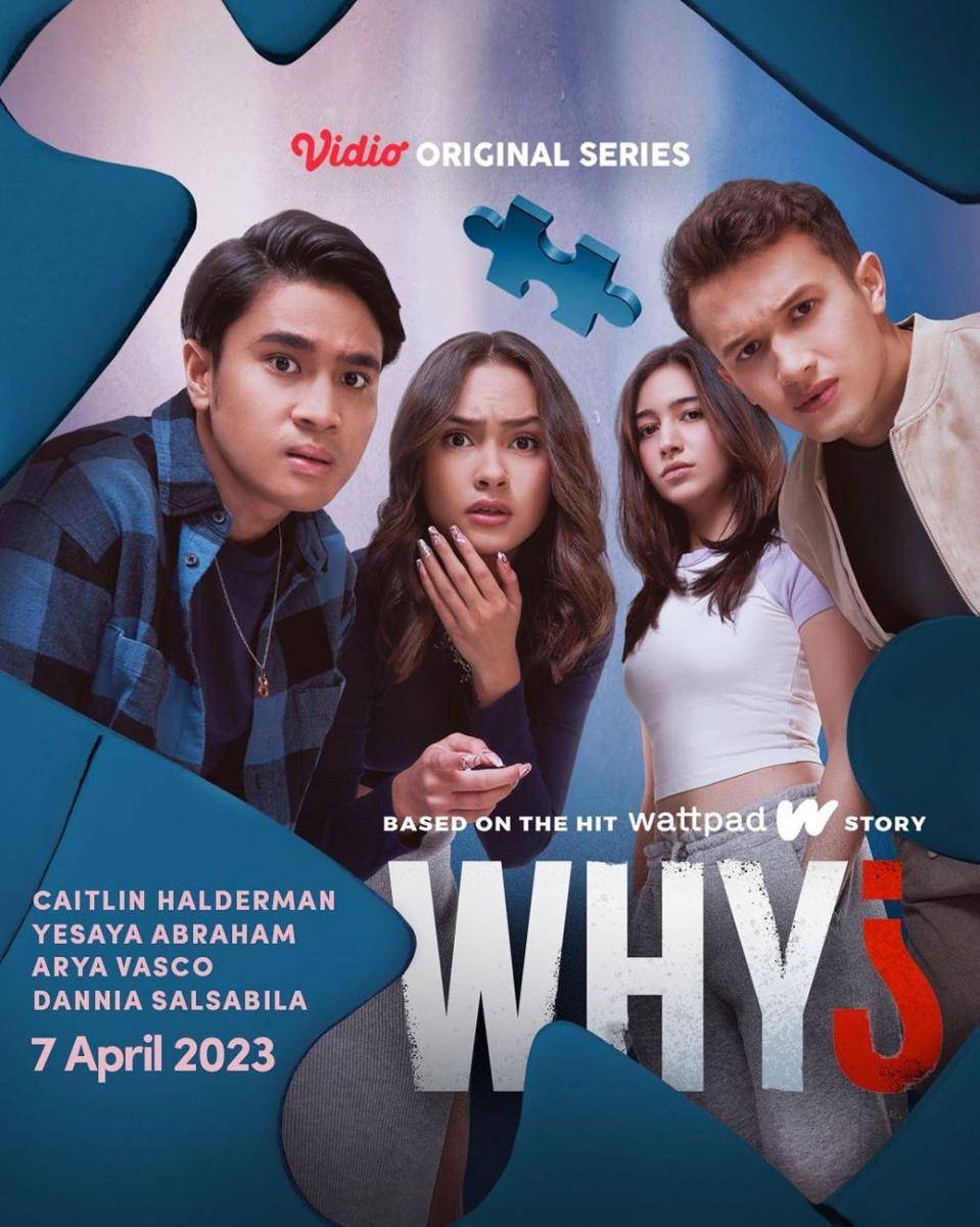 poster series 'Why?' (instagram.com/vidiooriginals)