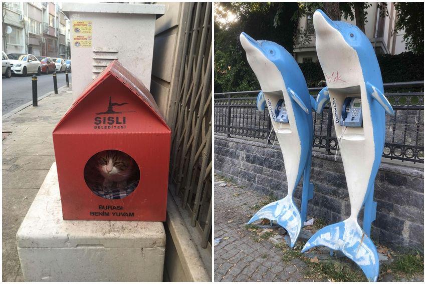 10 Potret Hal Menarik di Istanbul, Pernah Lihat Sendiri?