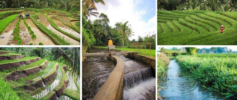 potret lahan calon vila Raffi Ahmad di Tabanan, Bali (instagram.com/raffinagita1717)