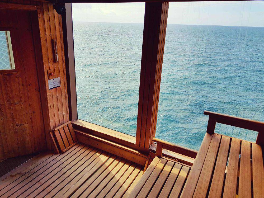 potret sauna yang mencuri pandangan (reddit.com/user/AlexMiles101)