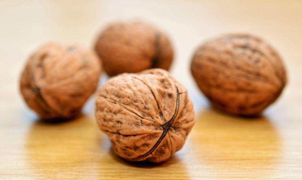 kacang kenari (pexels.com/pixabay)