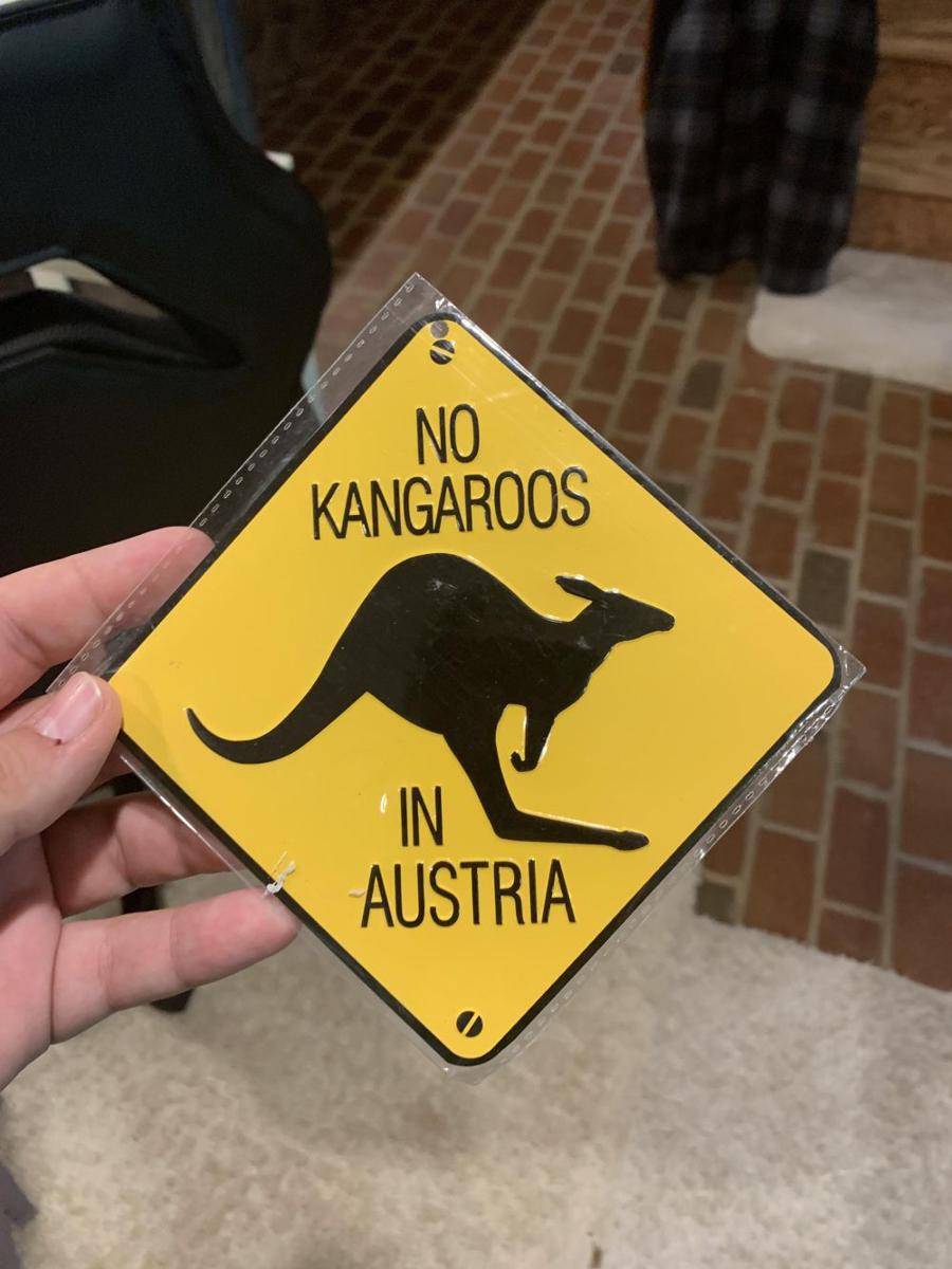 potret momen menarik di Austria (reddit.com/user/AtLeastSeventyBees)