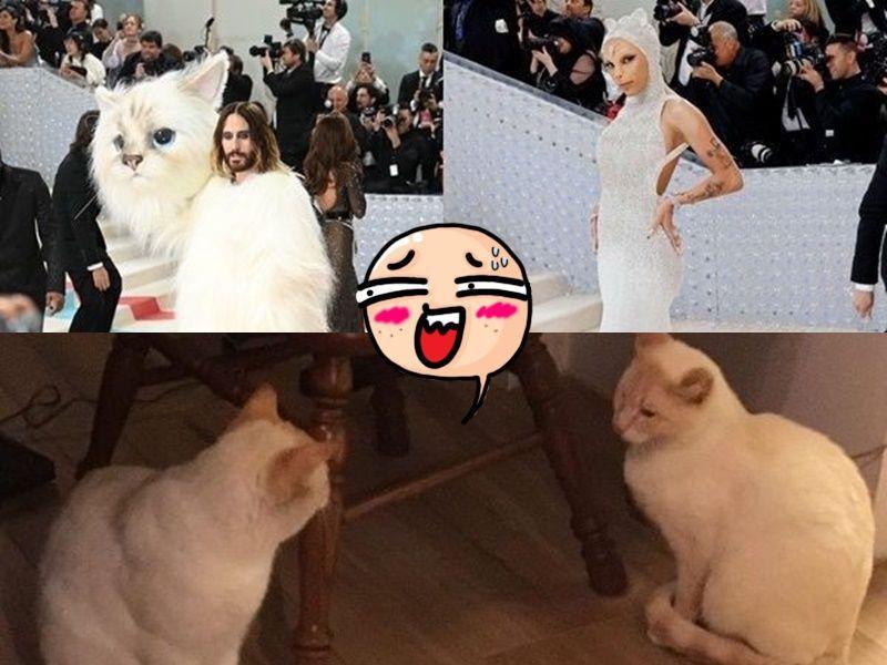 10 Meme Doja Cat dan Jared Leto di Met Gala 2023, Kostum Kucing Samaan