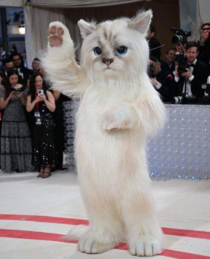potret Jared Leto jadi kucing di Met Gala 2023 (instagram.com/nytstyle)