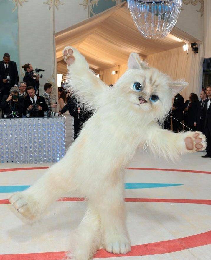 potret Jared Leto jadi kucing di Met Gala 2023 (instagram.com/vanityfair)