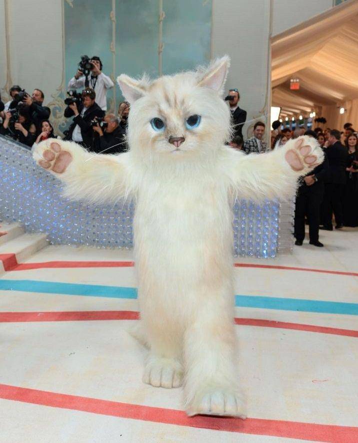 potret Jared Leto jadi kucing di Met Gala 2023 (instagram.com/vanityfair)