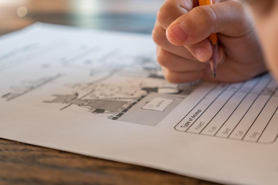 IELTS Terlalu Mahal? Ini 5 Tes Bahasa Inggris Lain yang Lebih Murah