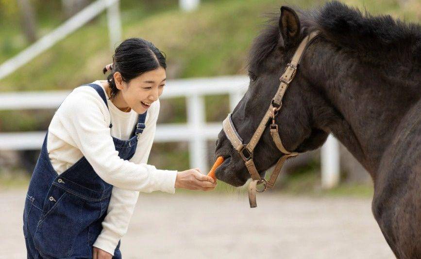 Sakura Ando di drama The Long Way Home (dok. NHK/The Long Way Home)