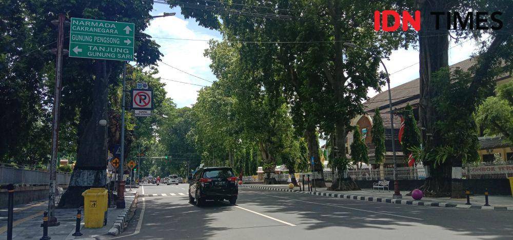 Suasana di jalan protokol Kota Mataram yang masih banyak pohon-pohon tua berusia ratusan tahun. (IDn Times/Muhammad Nasir)