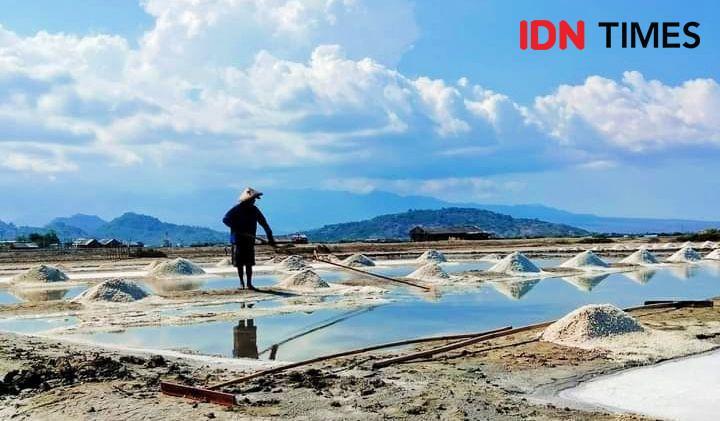 Harga Garam di Bima Naik Drastis, Kini Rp480 Ribu Sekarung